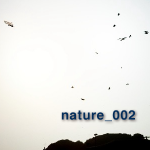 nature_002